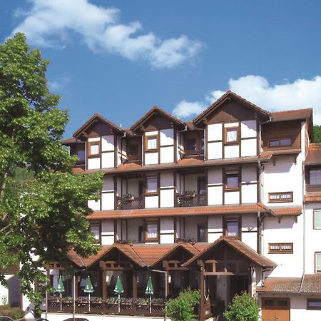 Blick Zum Maimont Hotel Ludwigswinkel Exterior photo