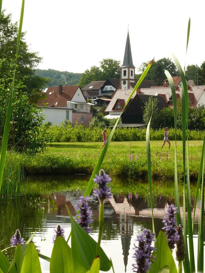Blick Zum Maimont Hotel Ludwigswinkel Exterior photo