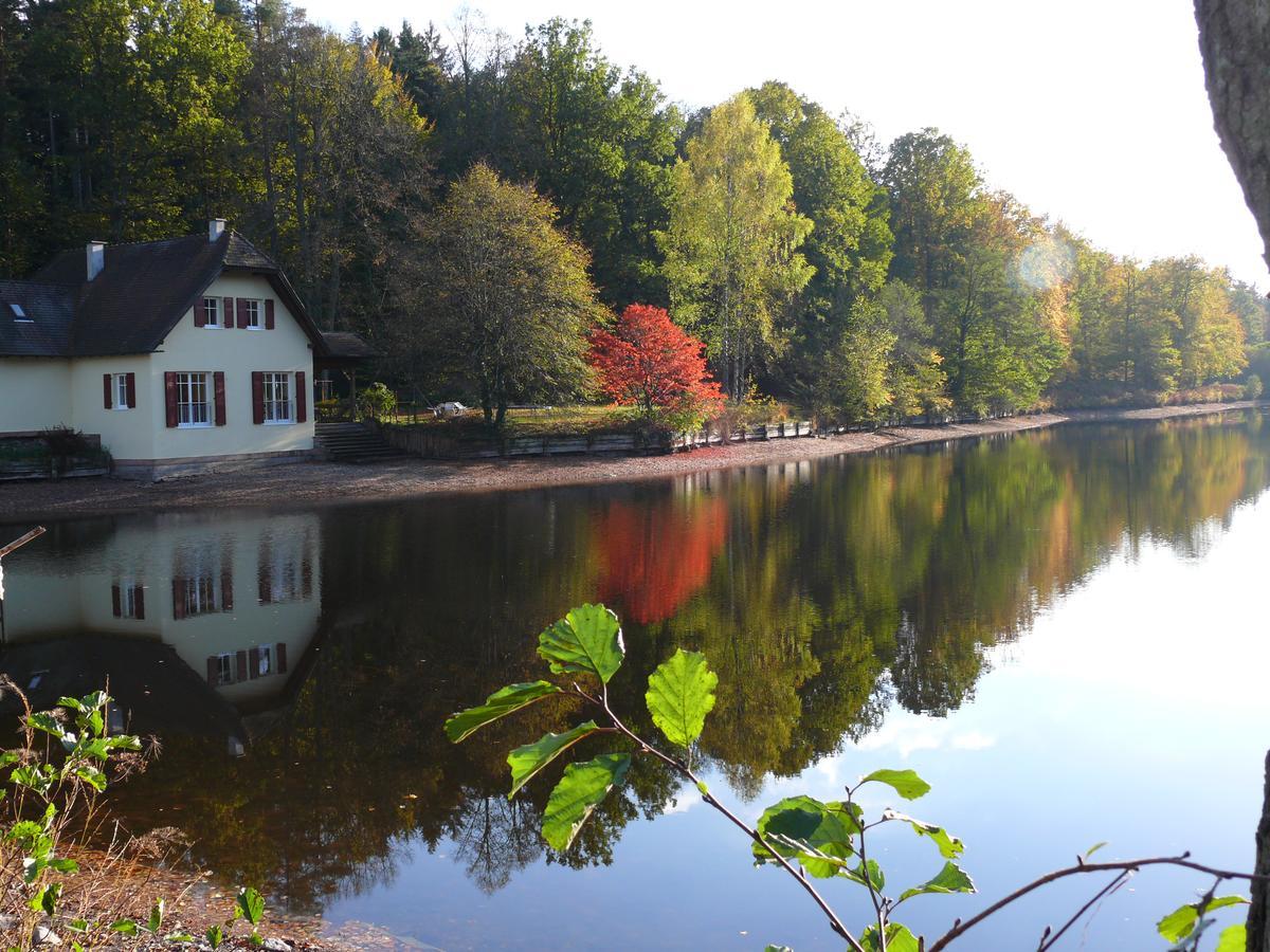 Blick Zum Maimont Hotel Ludwigswinkel Exterior photo